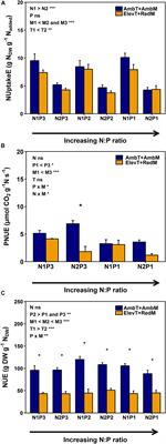 Drought Deteriorates the N Stoichiometry of Biomass Production in European Beech Saplings Under Global Change